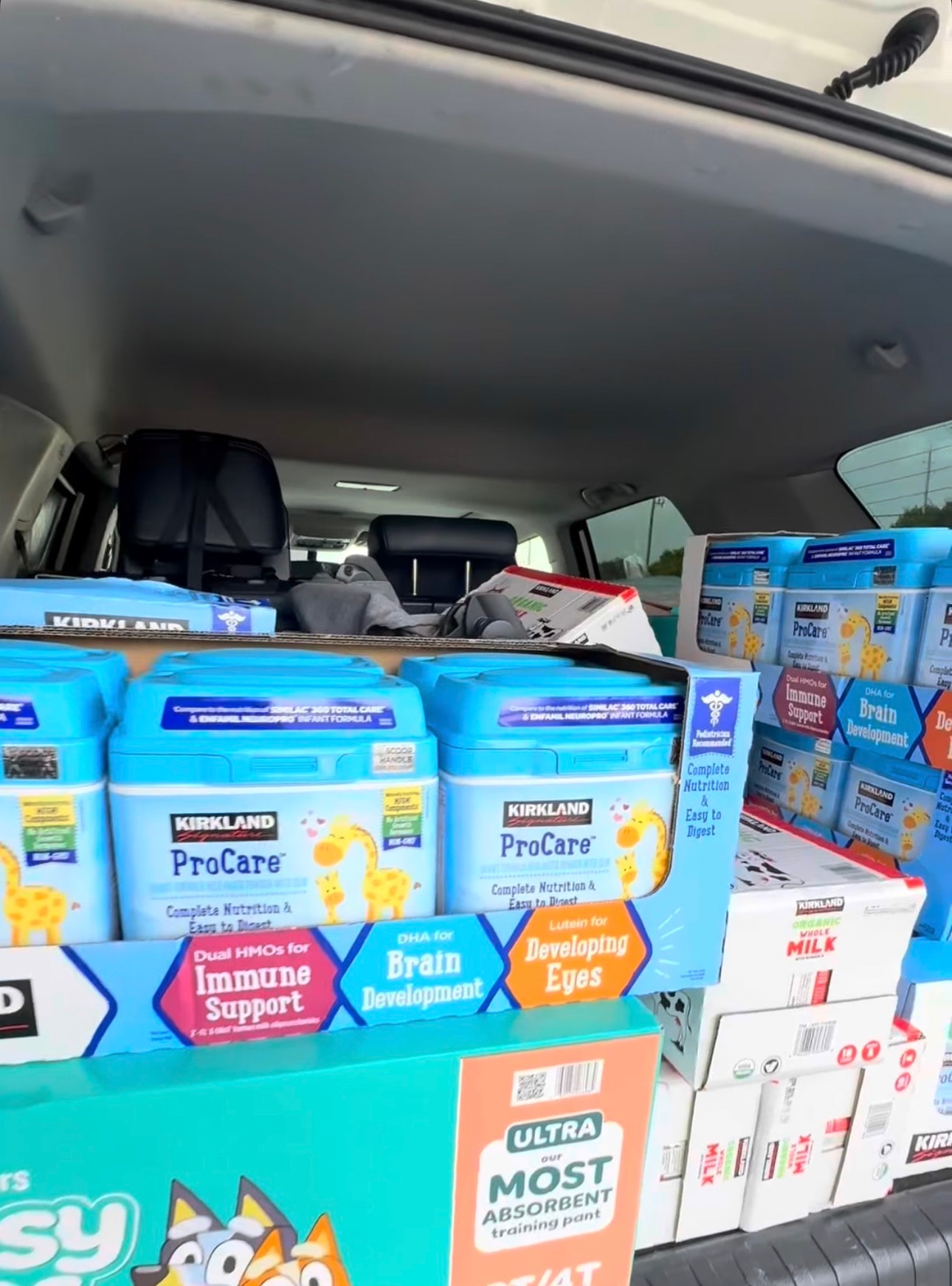 Infant Formula